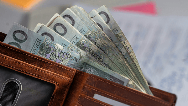 Portfel wypełniony polskimi banknotami